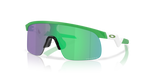 Resistor - Matte Team Green/Prizm Jade