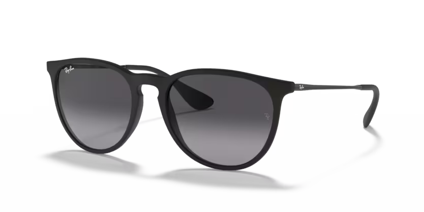 Ray-Ban Erika Classic