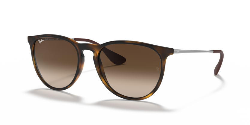 Ray-Ban Erika